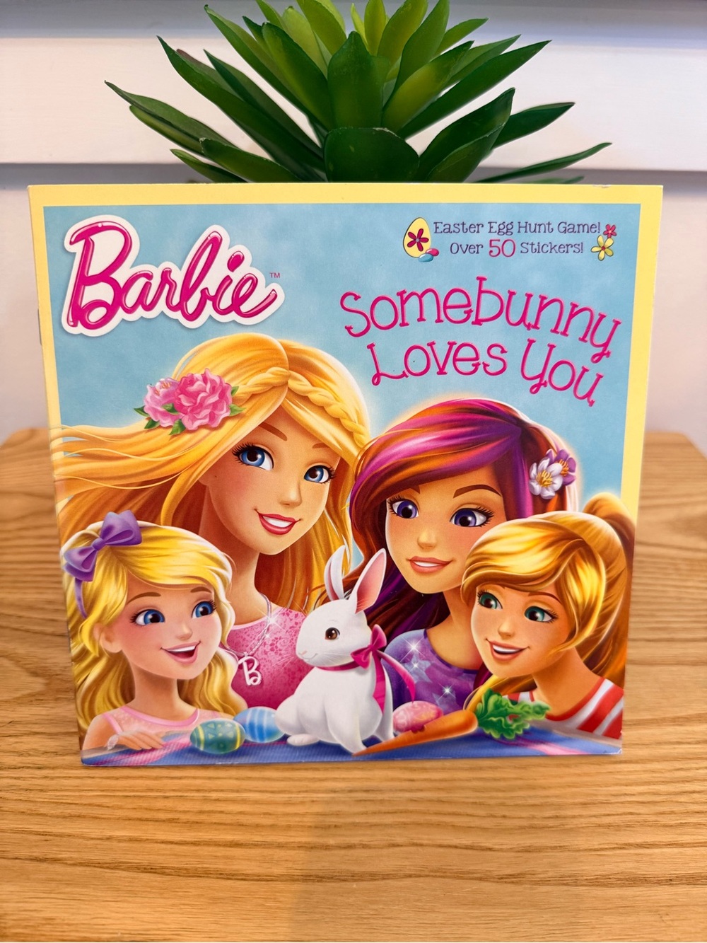 💫10/$25 • Barbie Somebunny Loves You Paperback